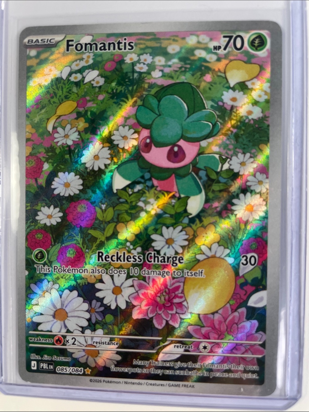 Pokemon Fomantis Holographic Card - Green, Pink, White